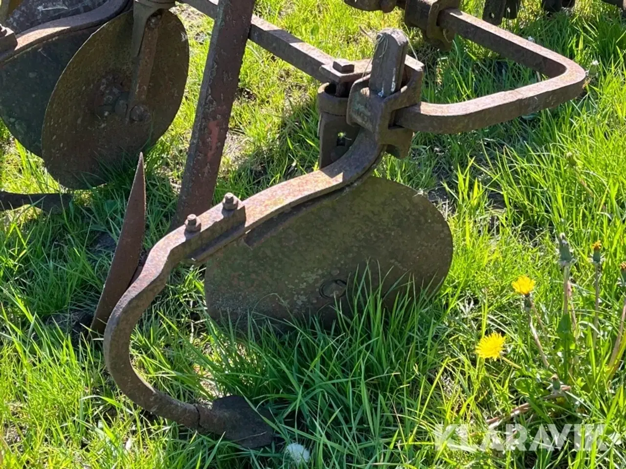 Billede 7 - Kartoffel Hypper Bovlund LU 15