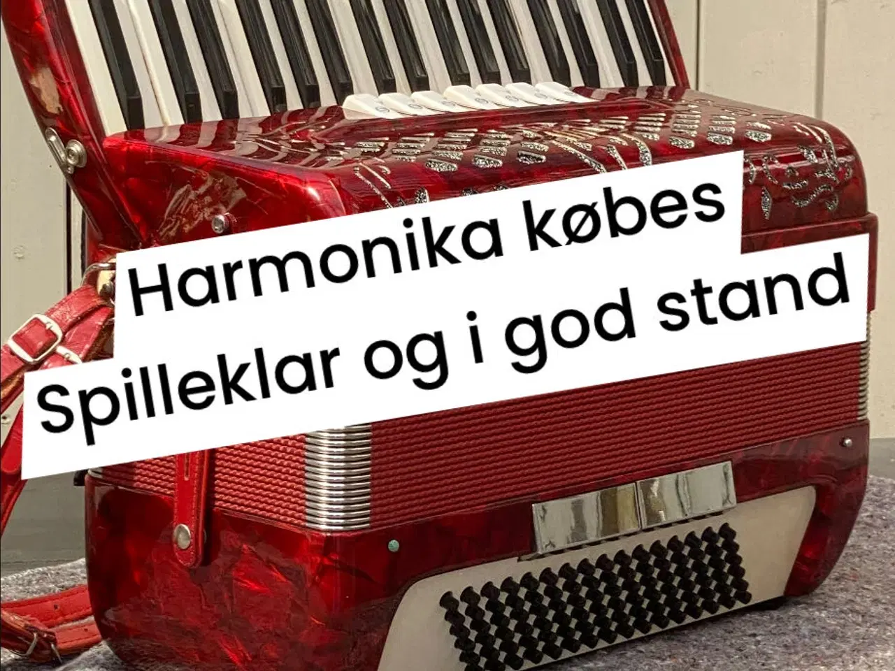 Billede 7 - PIGINI tangharmonika – 41/120 – kompakt