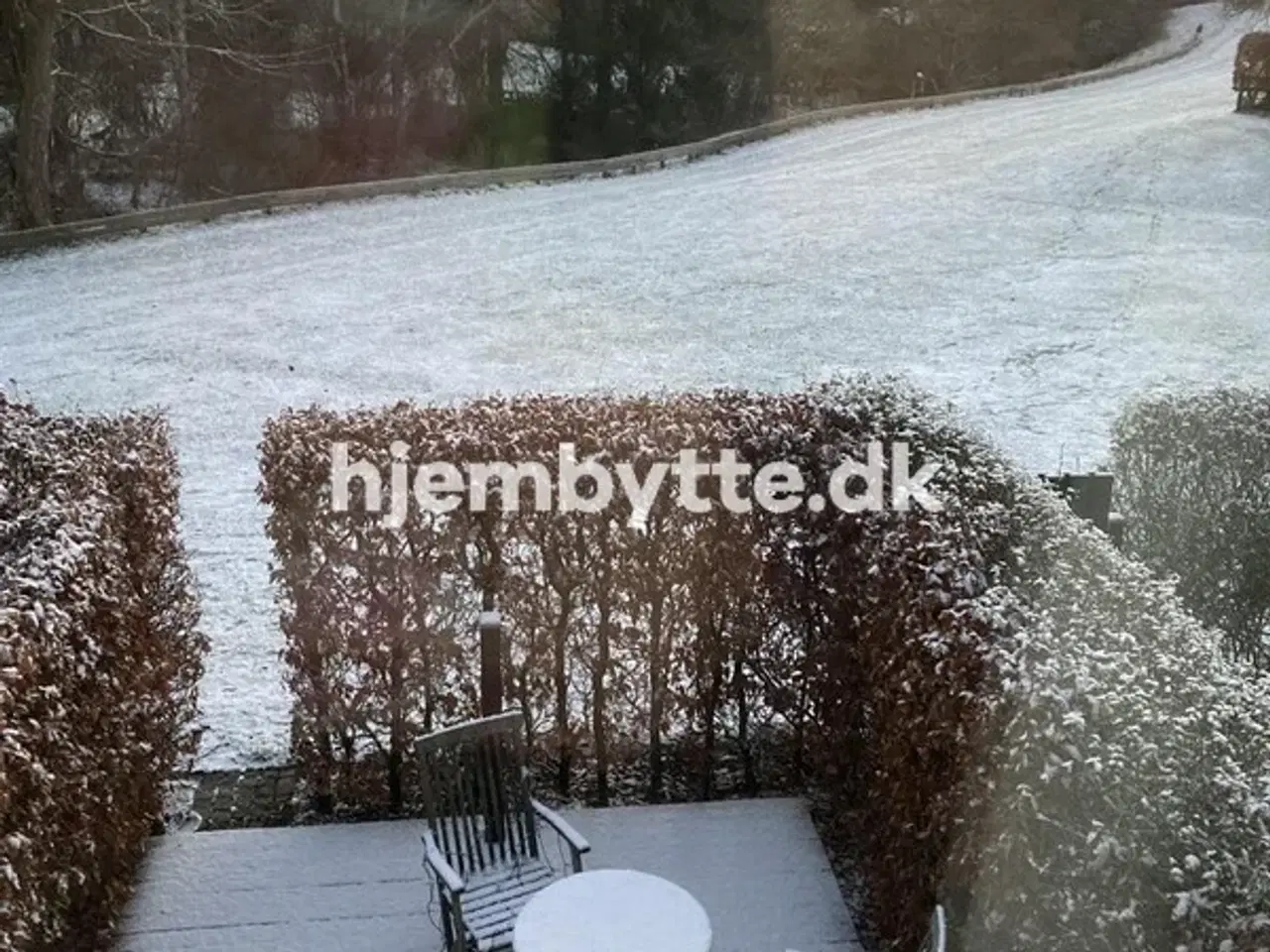 Billede 11 - Hjembytte - Hyldemosen