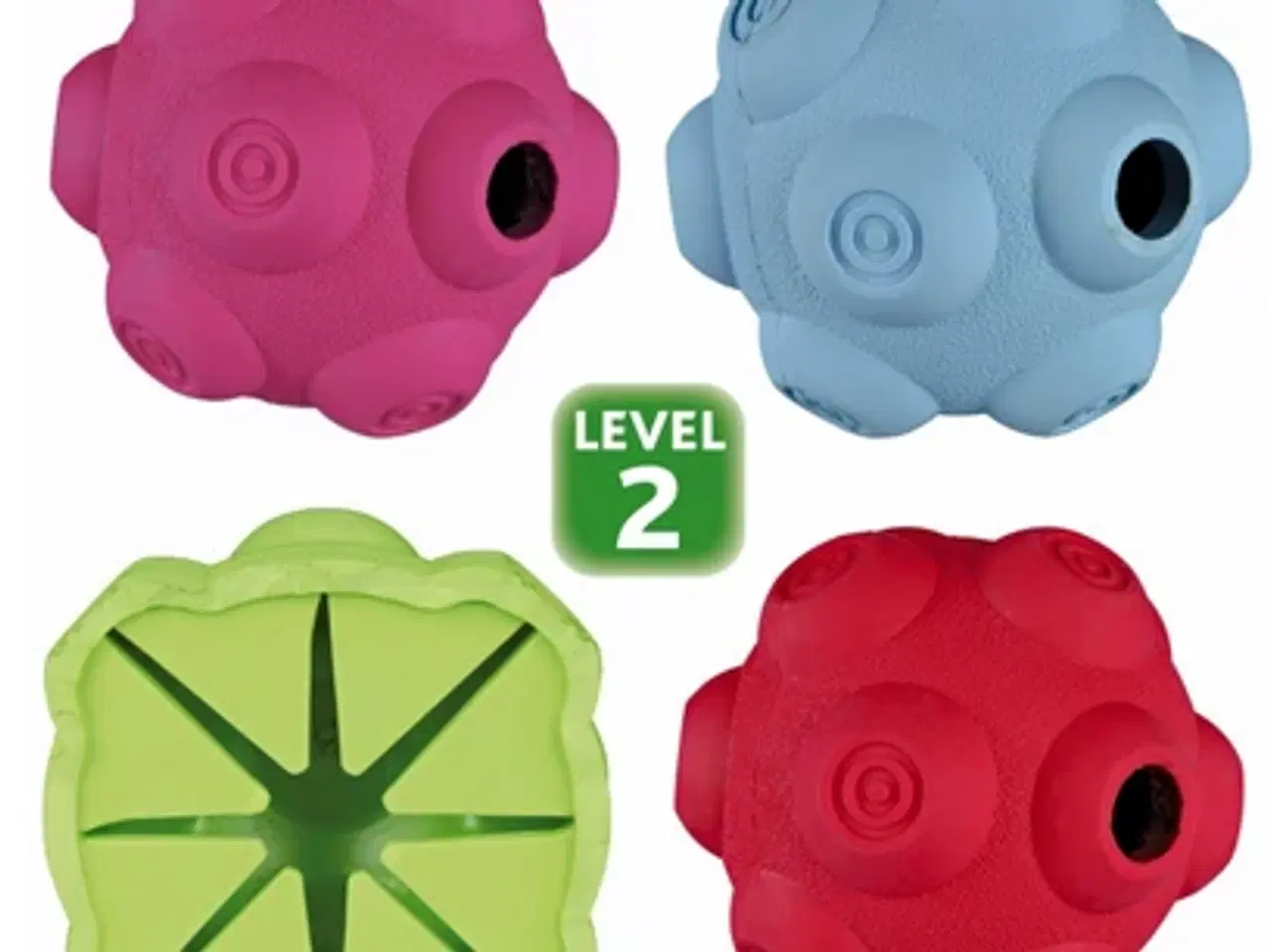Billede 2 - Nose-work bold level 2 - godbidsgemme