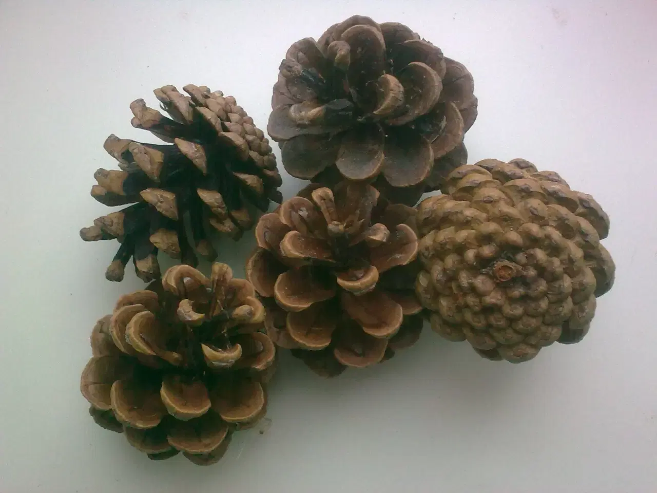 Billede 2 - Flaske med serpentiner følger med