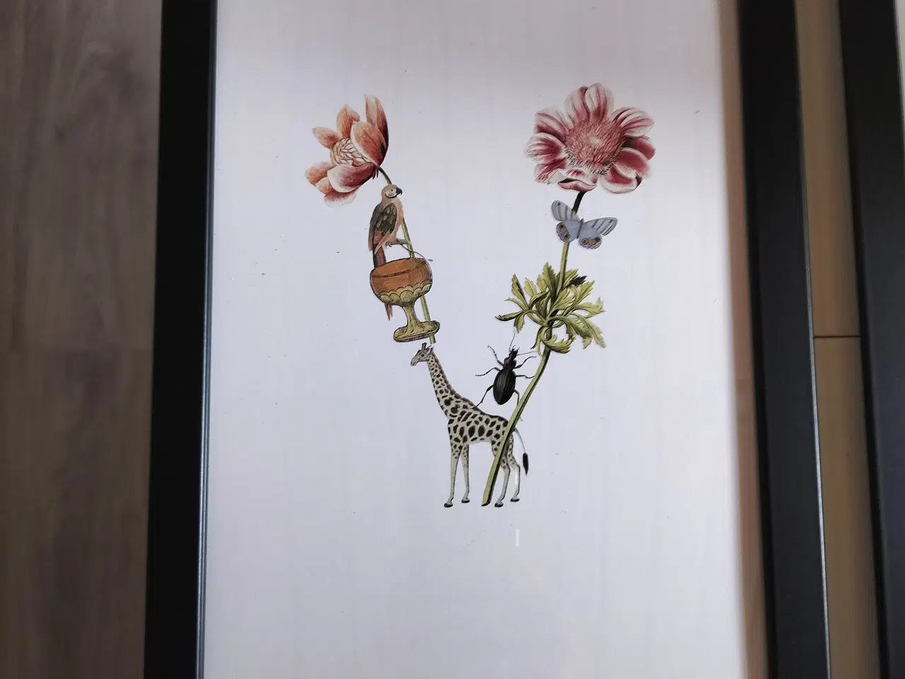 Billede 2 - 6 stk Billeder Rigtig fine billede i sorte rammer