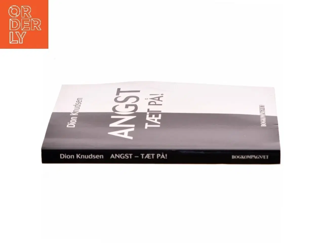 Billede 2 - Angst - tæt på! af Dion Knudsen (Bog)