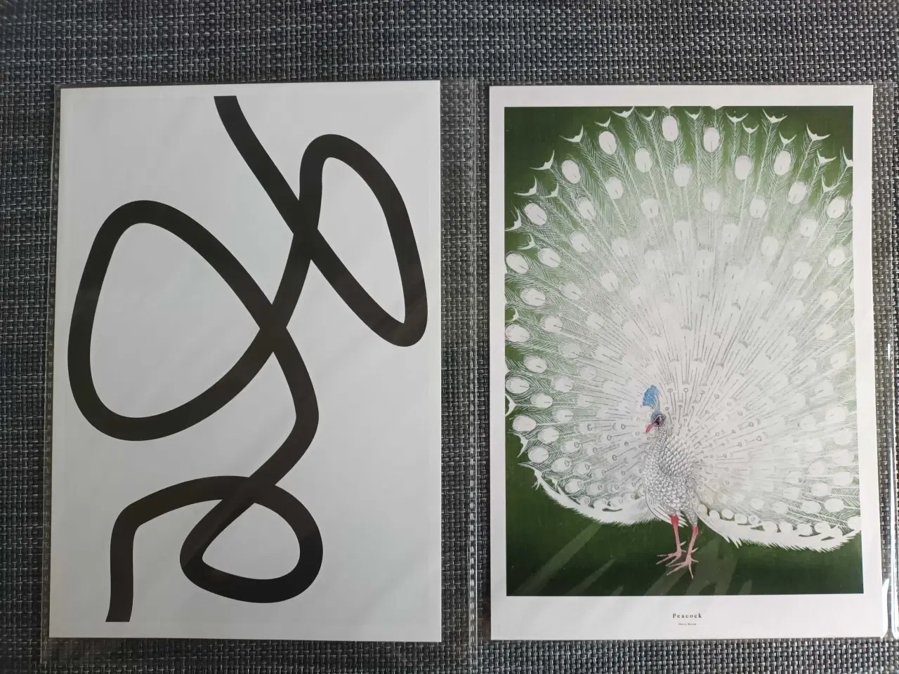 Billede 1 - 2 plakater i A5 - Kunst og PÅFUGL