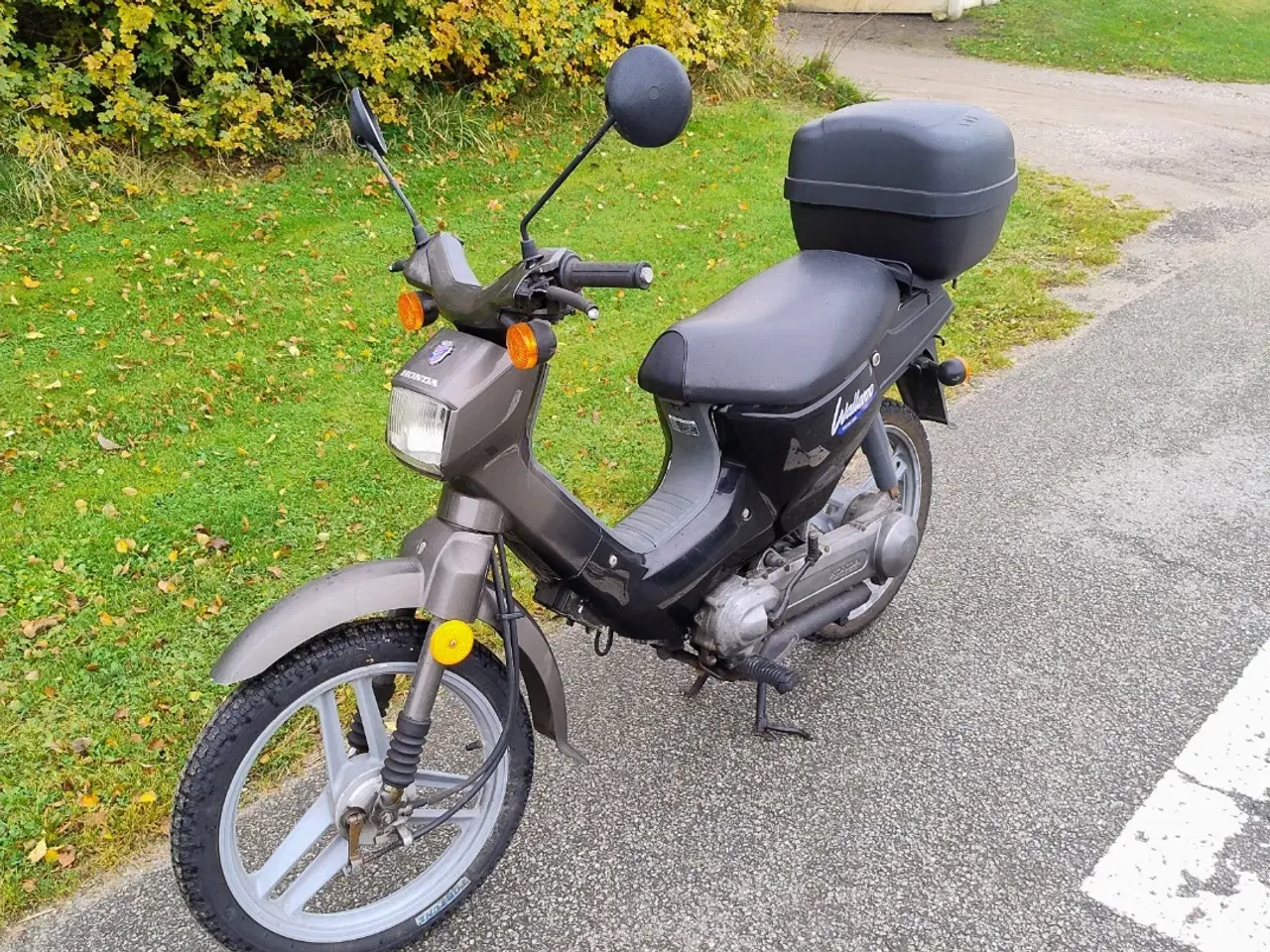 Billede 6 - Honda welleroo 30 knallert 