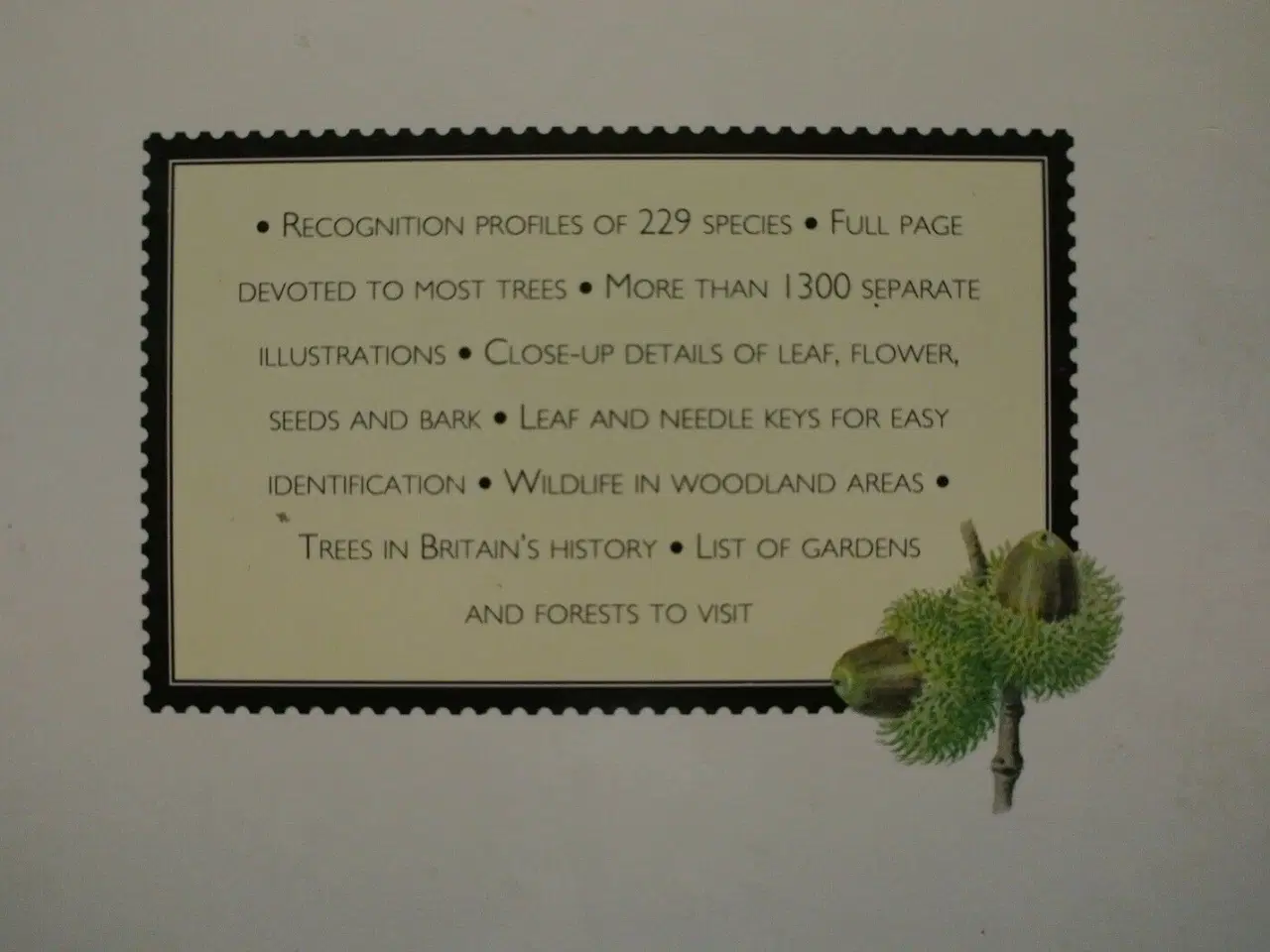 Billede 3 - field guide to the trees and shrubs of great brita