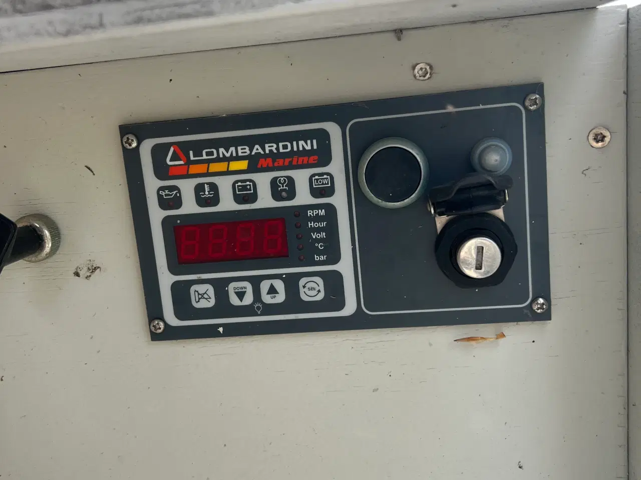 Billede 2 - Damjolle - Maribo - lavt timetal