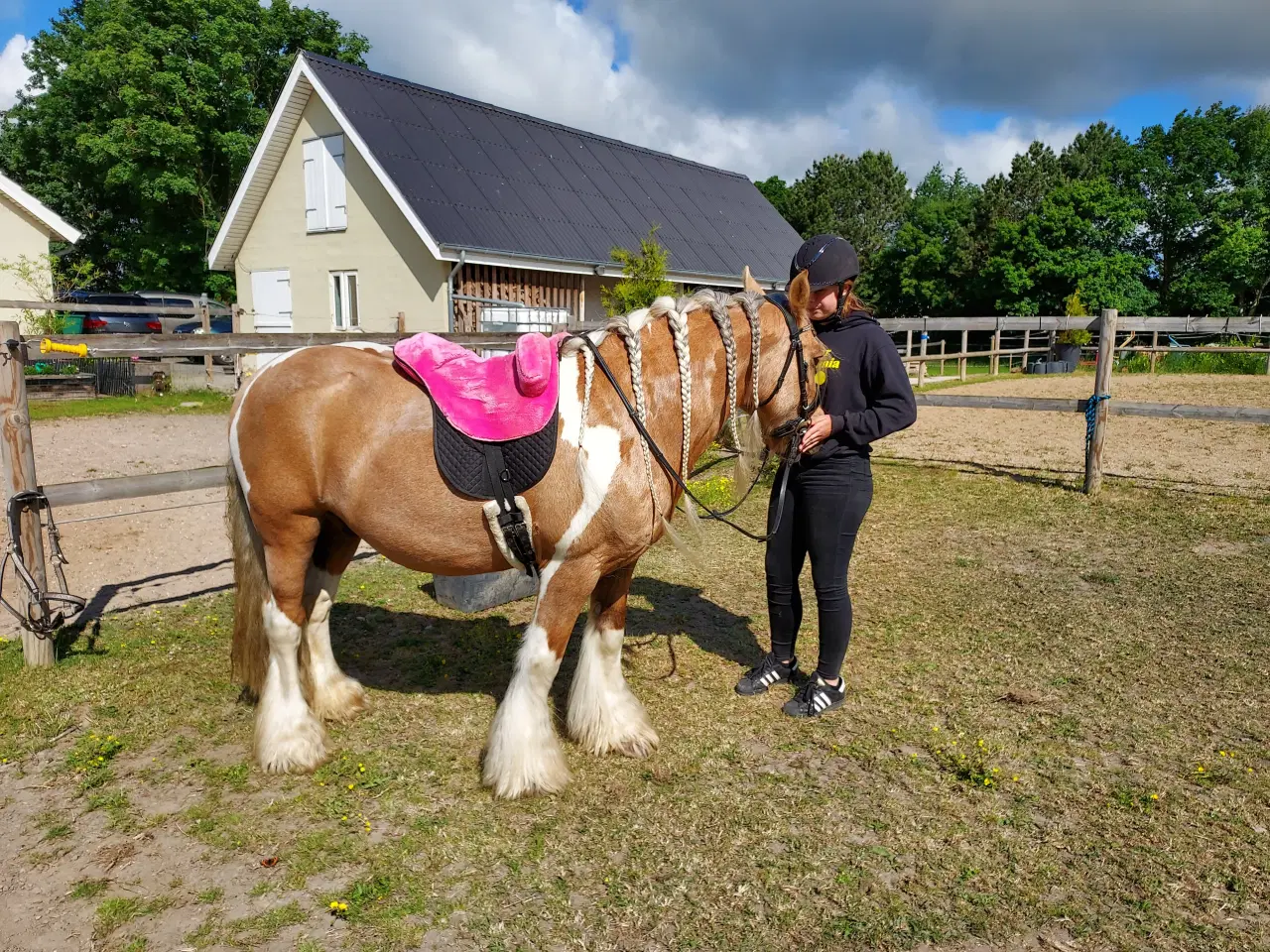 Billede 8 - Tinker/Irish cob