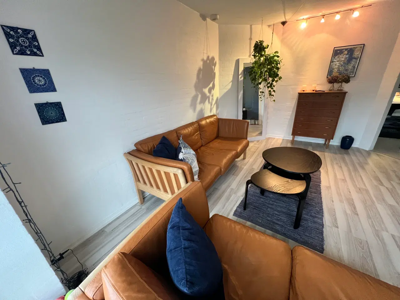 Billede 3 - Cognac lædersofaer 2+3