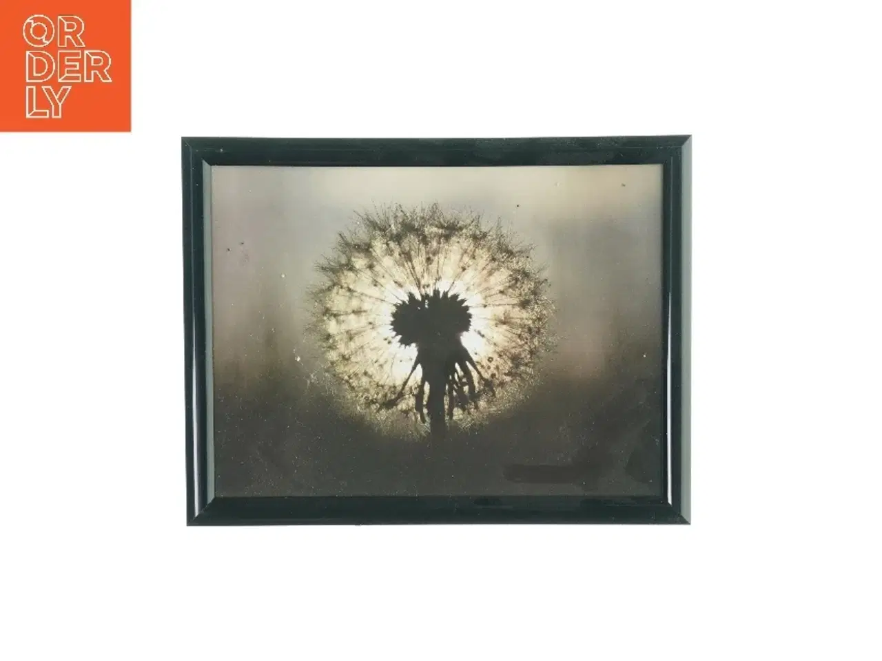 Billede 1 - Billedramme med billede  (str. LB: 27,5x21cm)