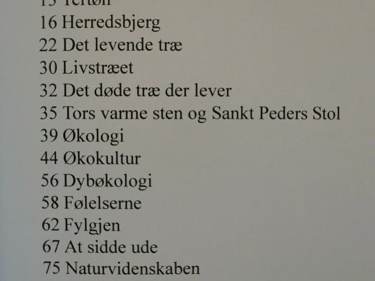 Billede 2 - fra strandkanten - lommefilosofi, økosofi eller ku