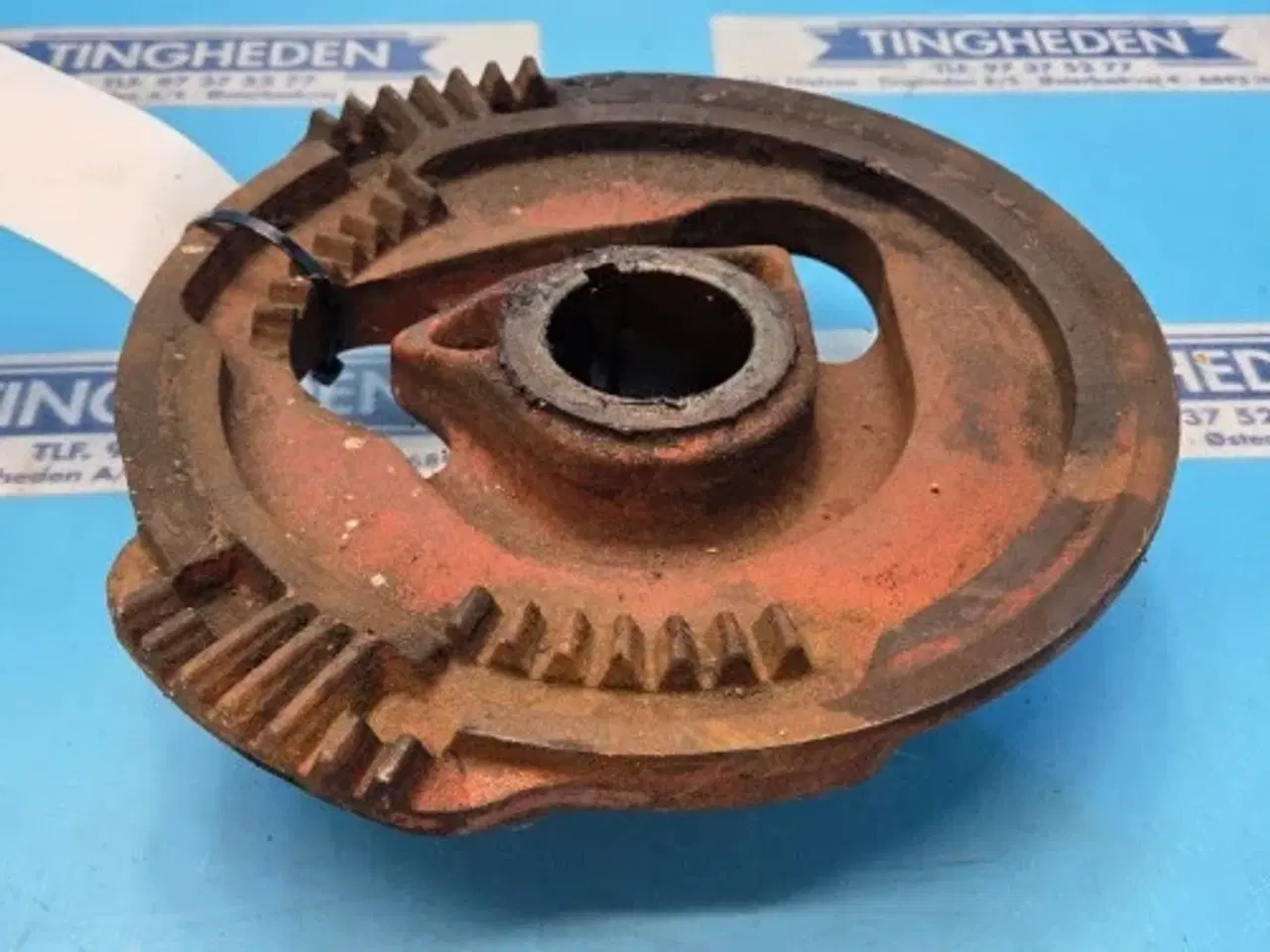 Billede 11 - Hesston 4700 Kamskive 700100868