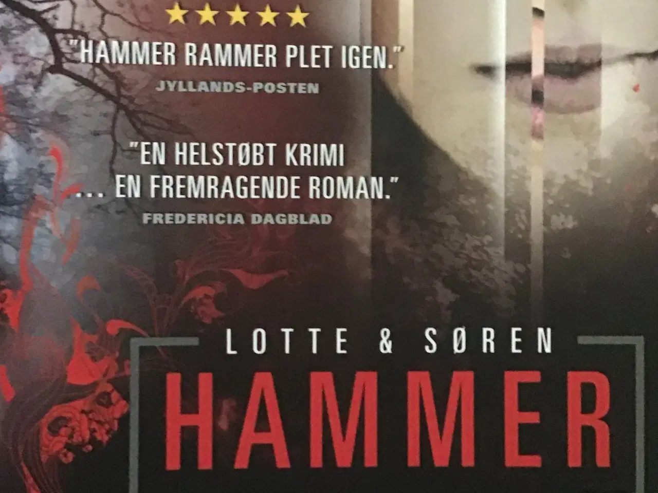 Billede 1 - Lotte og Søren Hammer : Ensomme hjerters klub