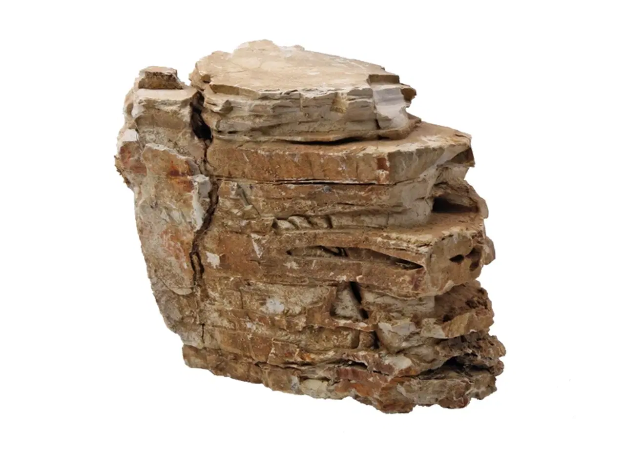 Billede 2 - Blandet akvariedekoration