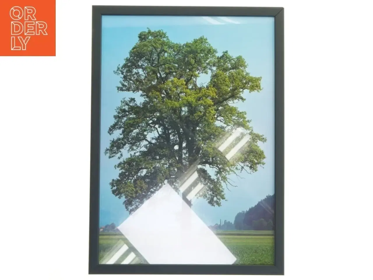 Billede 1 - Plakat med træmotiv i ramme fra Posterland (str. 32x44 cm)