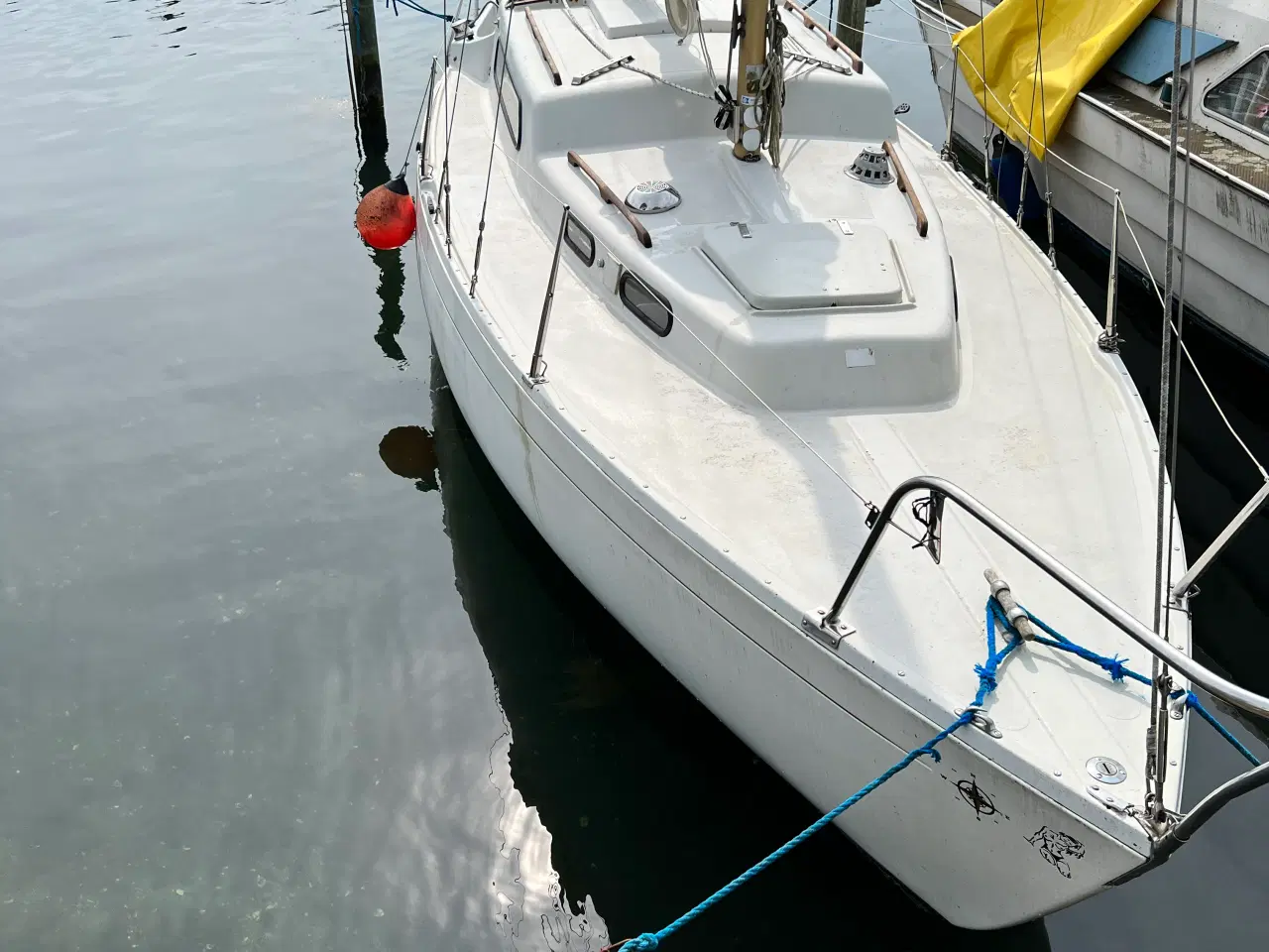 Billede 2 - Albin Vega, mulighed for køb af bådplads