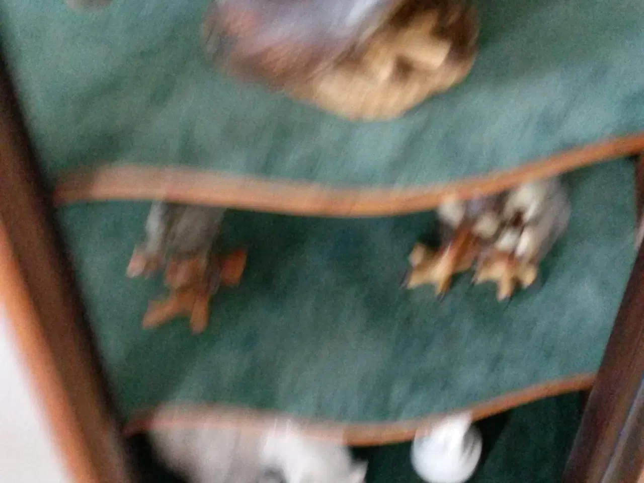 Billede 3 - smukt vitrine skab med buet låge.