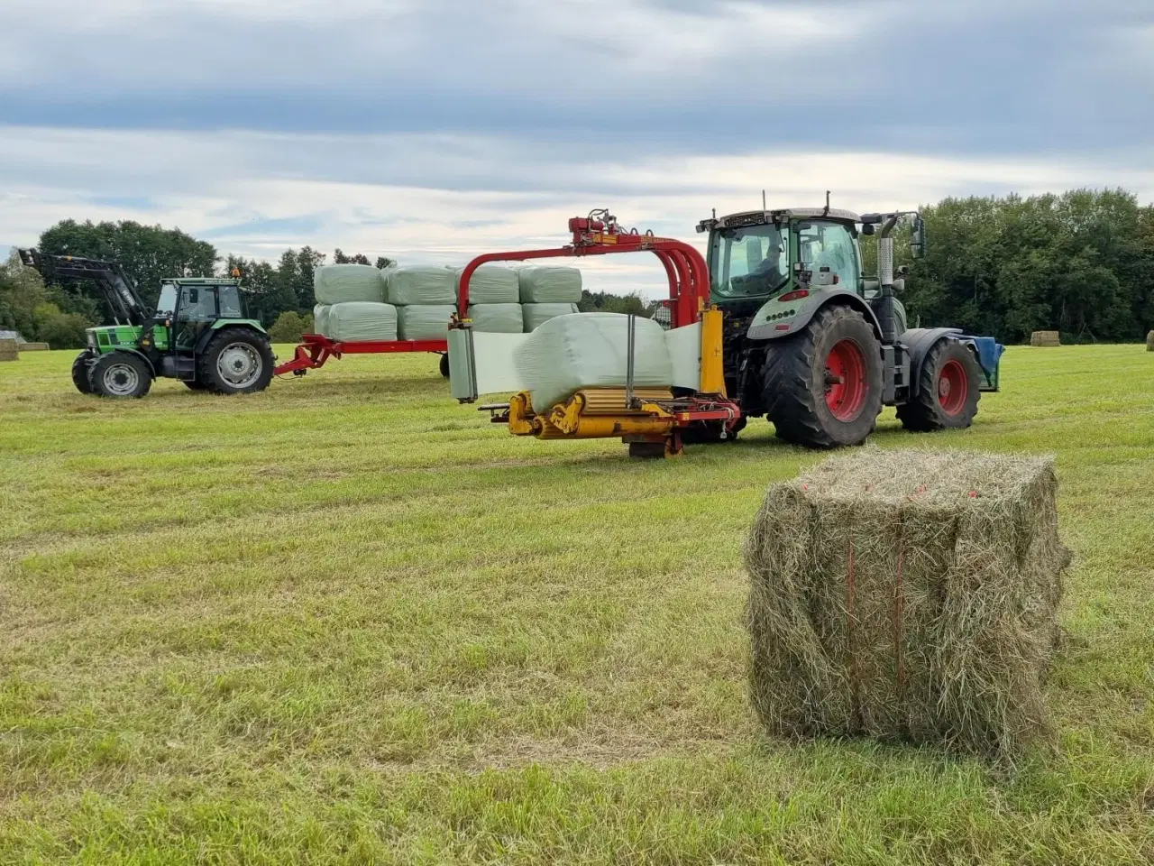 Billede 1 - Tørt wraphø til heste