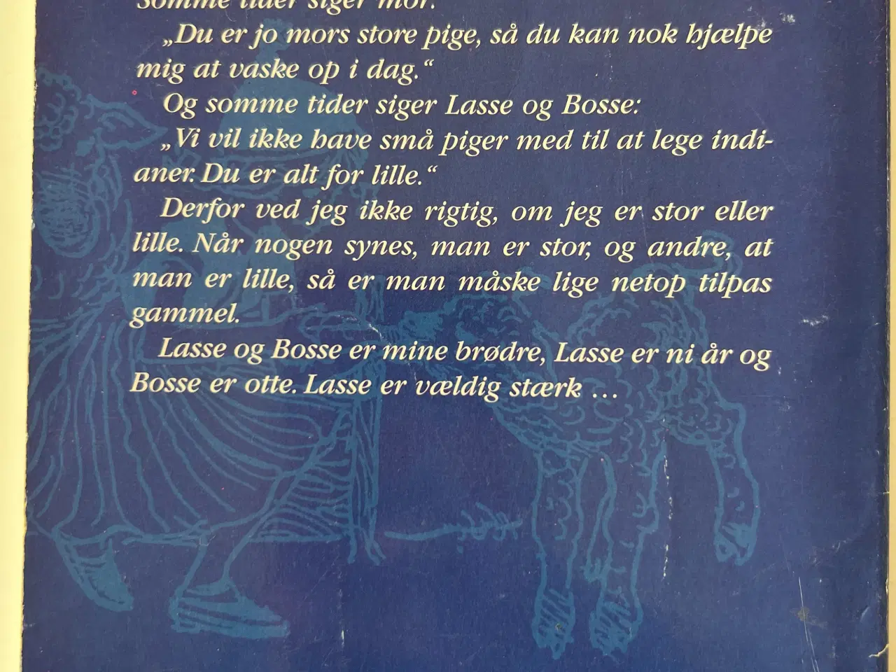 Billede 2 - Bulderby