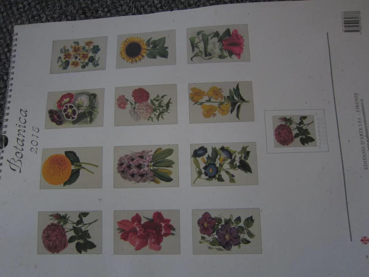 Billede 1 - Blomstermotiver fra italiensk kalender 