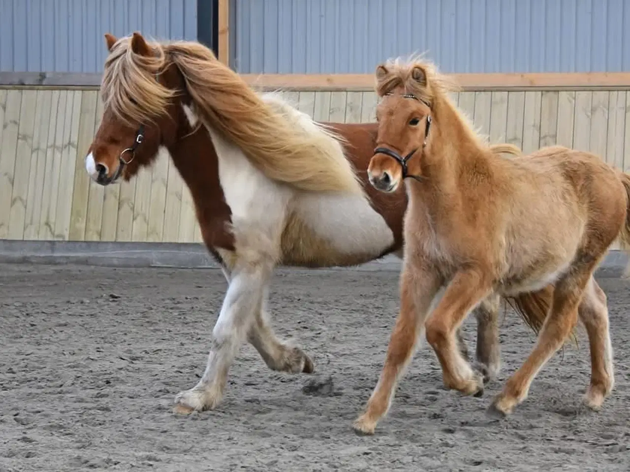 Billede 5 - Juletilbud 