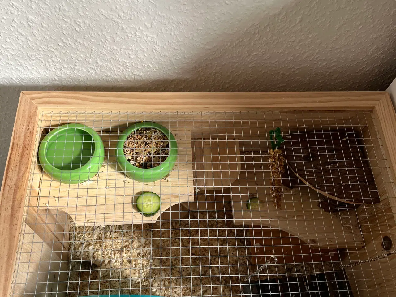 Billede 4 - Hamster sælges