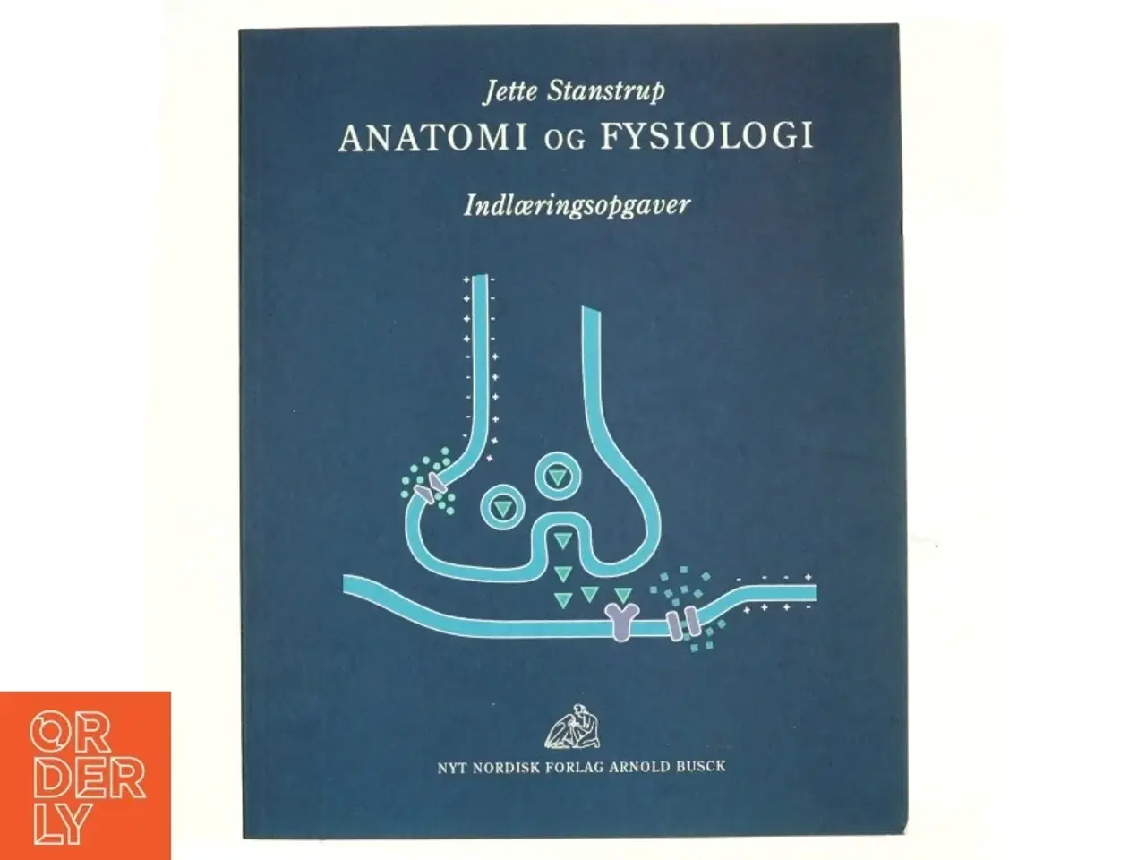 Billede 1 - Anatomi og fysiologi : indlæringsopgaver af Jette Stanstrup (Bog)
