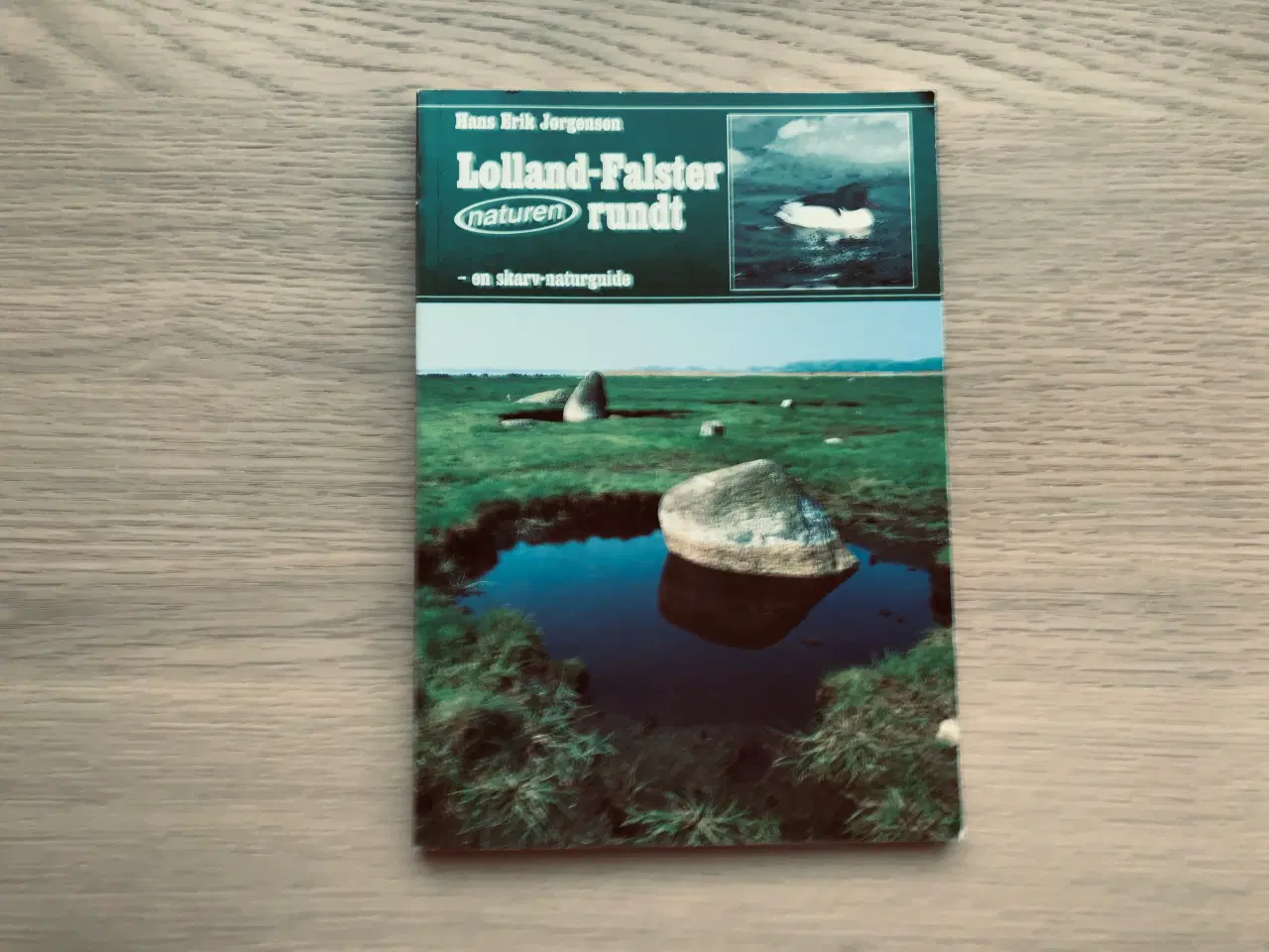 Billede 1 - Lolland-Falster rundt - en skarv-naturguide