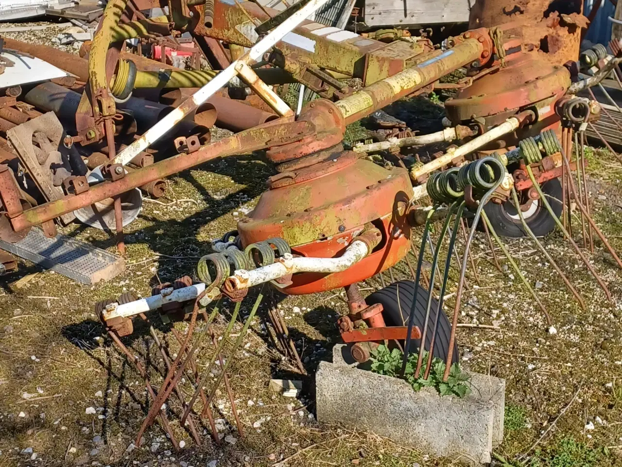 Billede 2 - Høvender