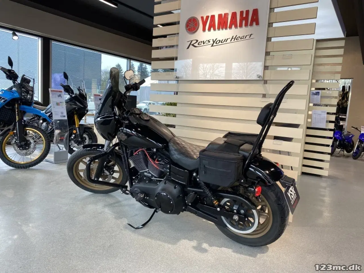 Billede 15 - Harley-Davidson FXDLS Dyna Low Rider S