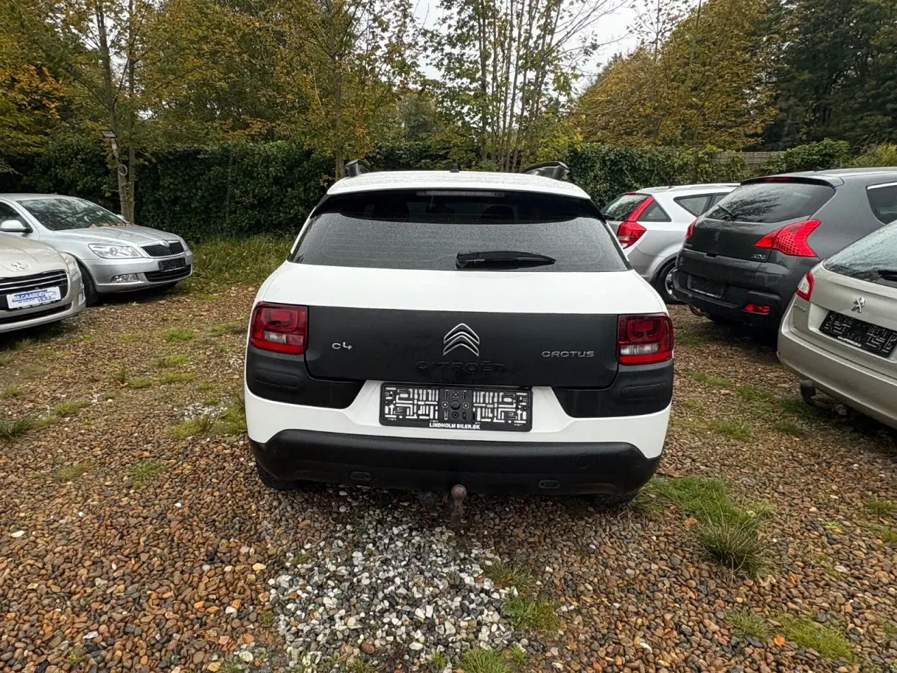 Billede 4 - Citroën C4 Cactus 1,6 BlueHDi 100 Feel Free