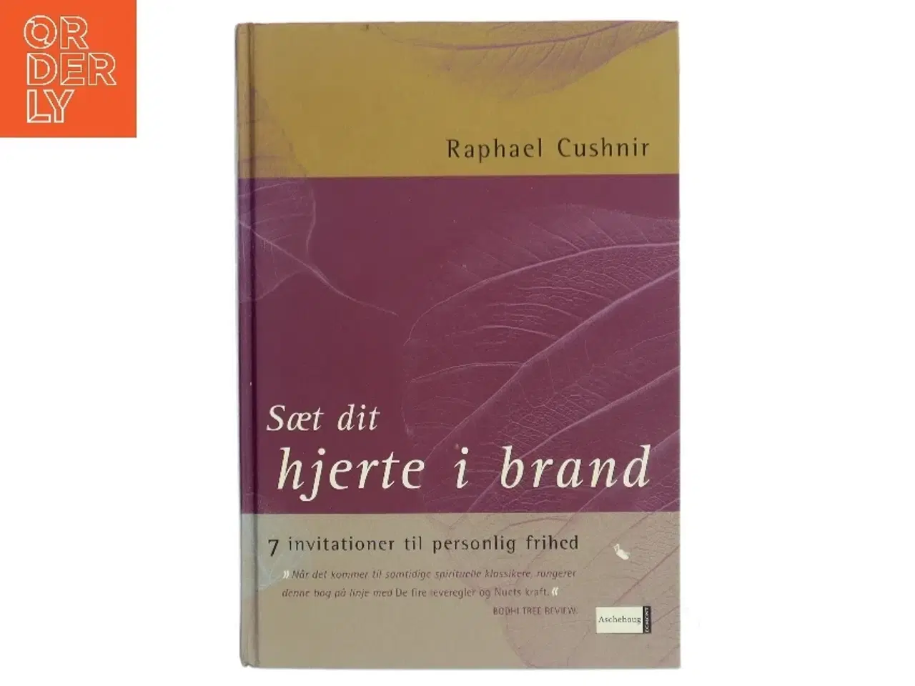Billede 1 - Sæt dit hjerte i brand : syv skridt til et liv i frihed af Raphael Cushnir (Bog)