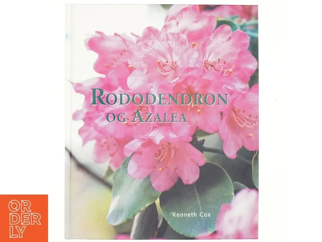 Billede 1 - Rododendron og azalea af Kenneth Cox (Bog)