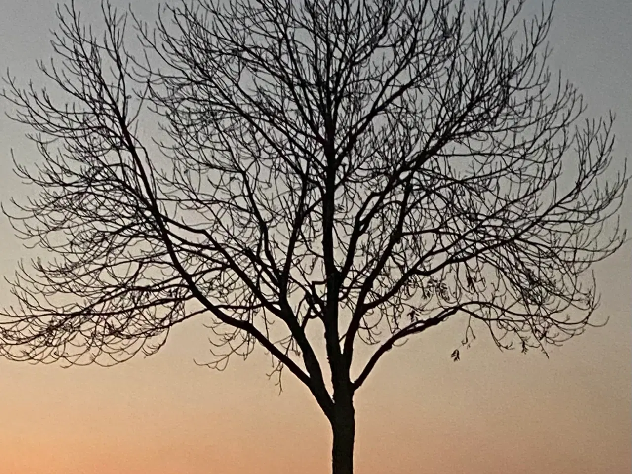 Billede 11 - Dejlig familie hus tilsalg NY pris på vej