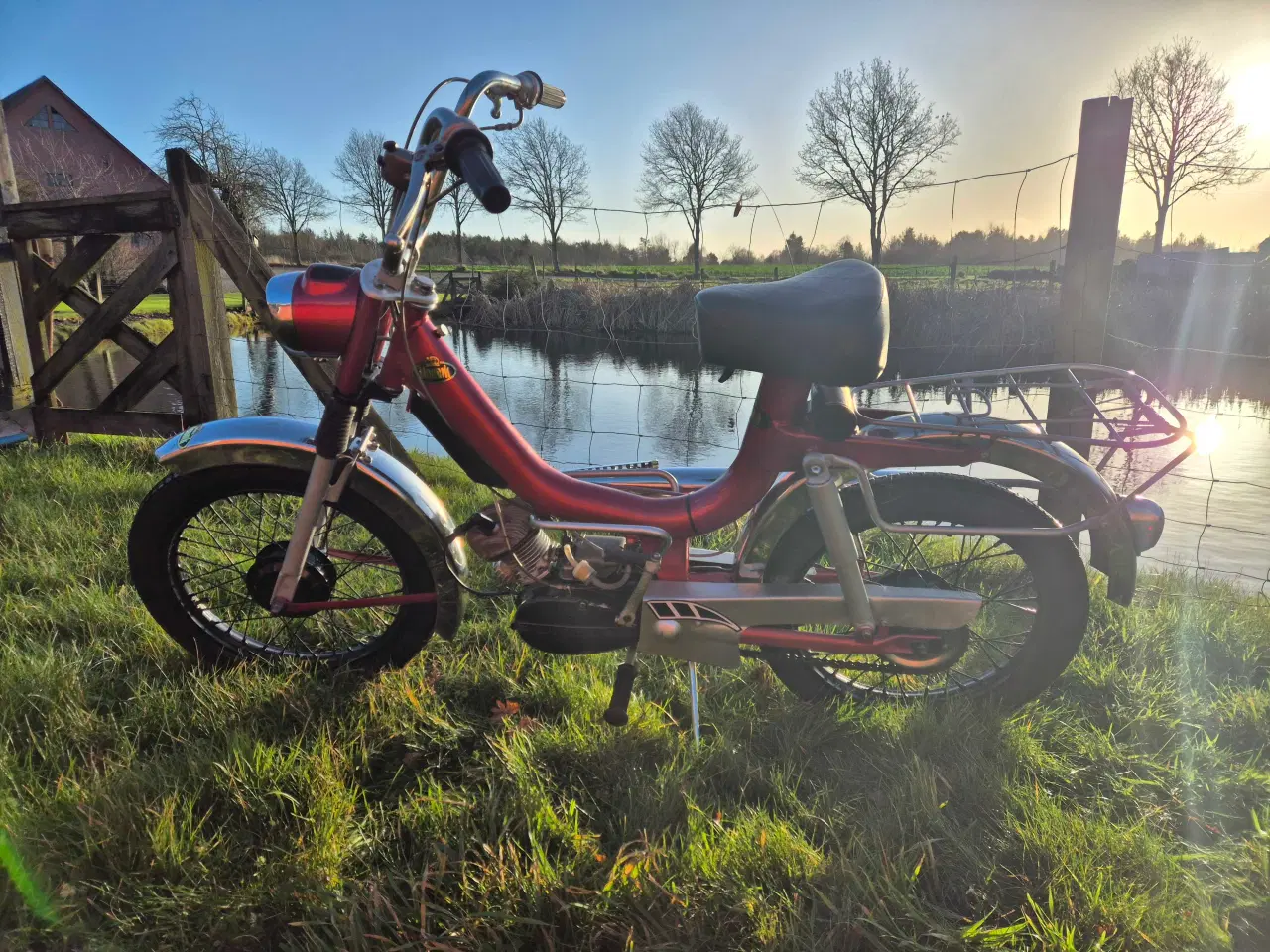 Billede 1 - Flot nyreneveret Monark