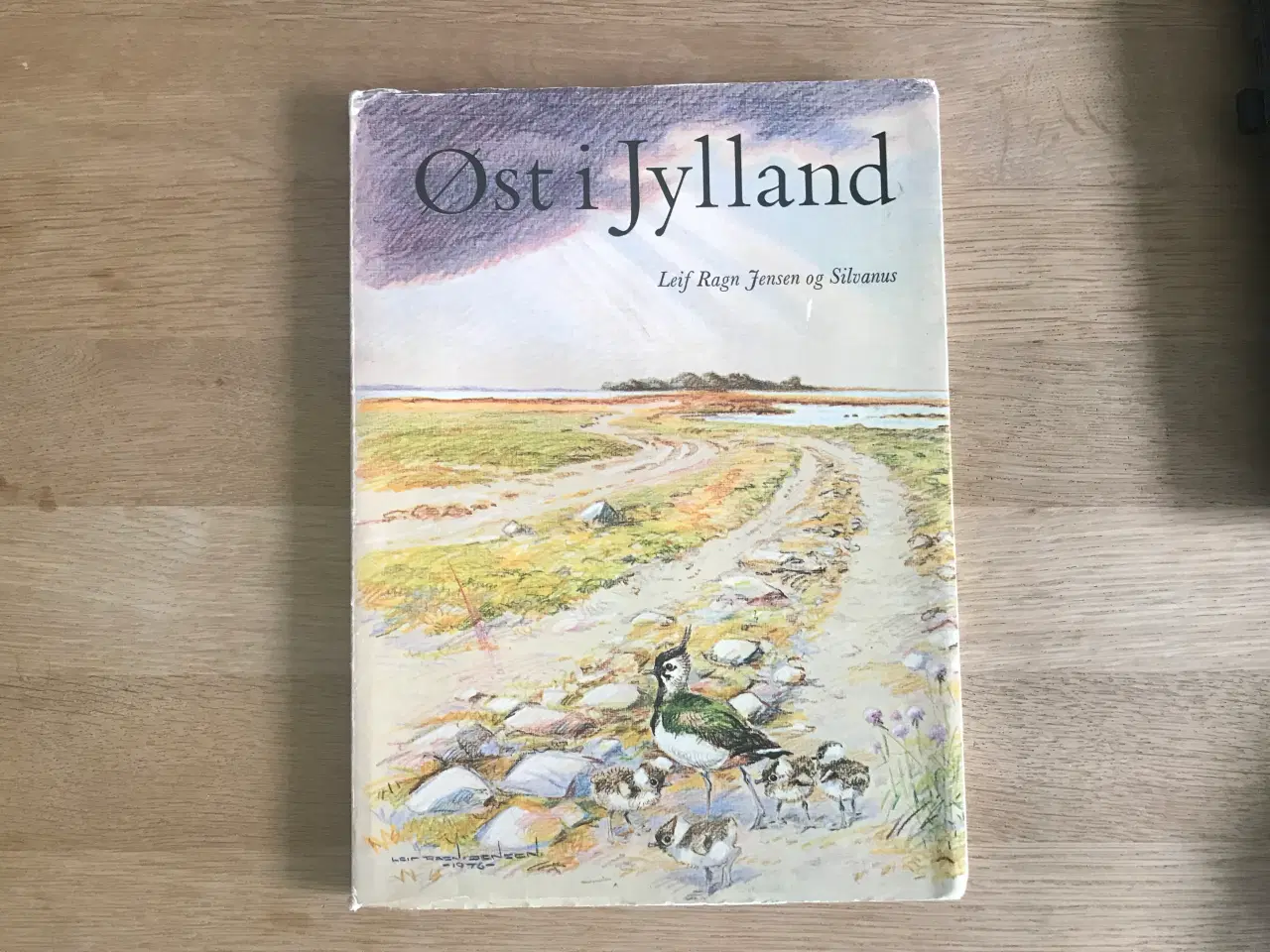 Billede 1 - Øst i Jylland  af Leif Ragn Jensen og Silvanus