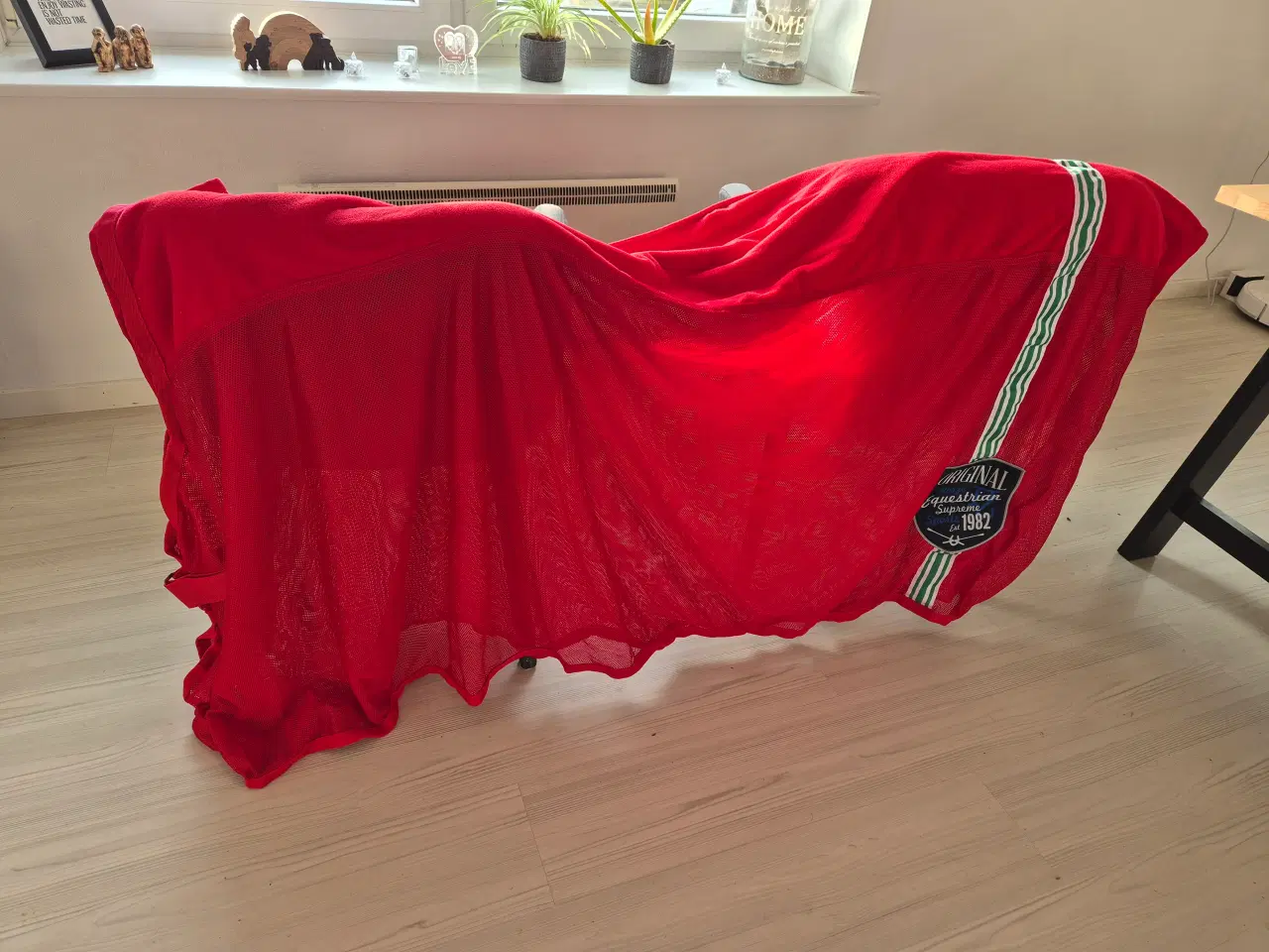 Billede 4 - Alt nyt til hesten