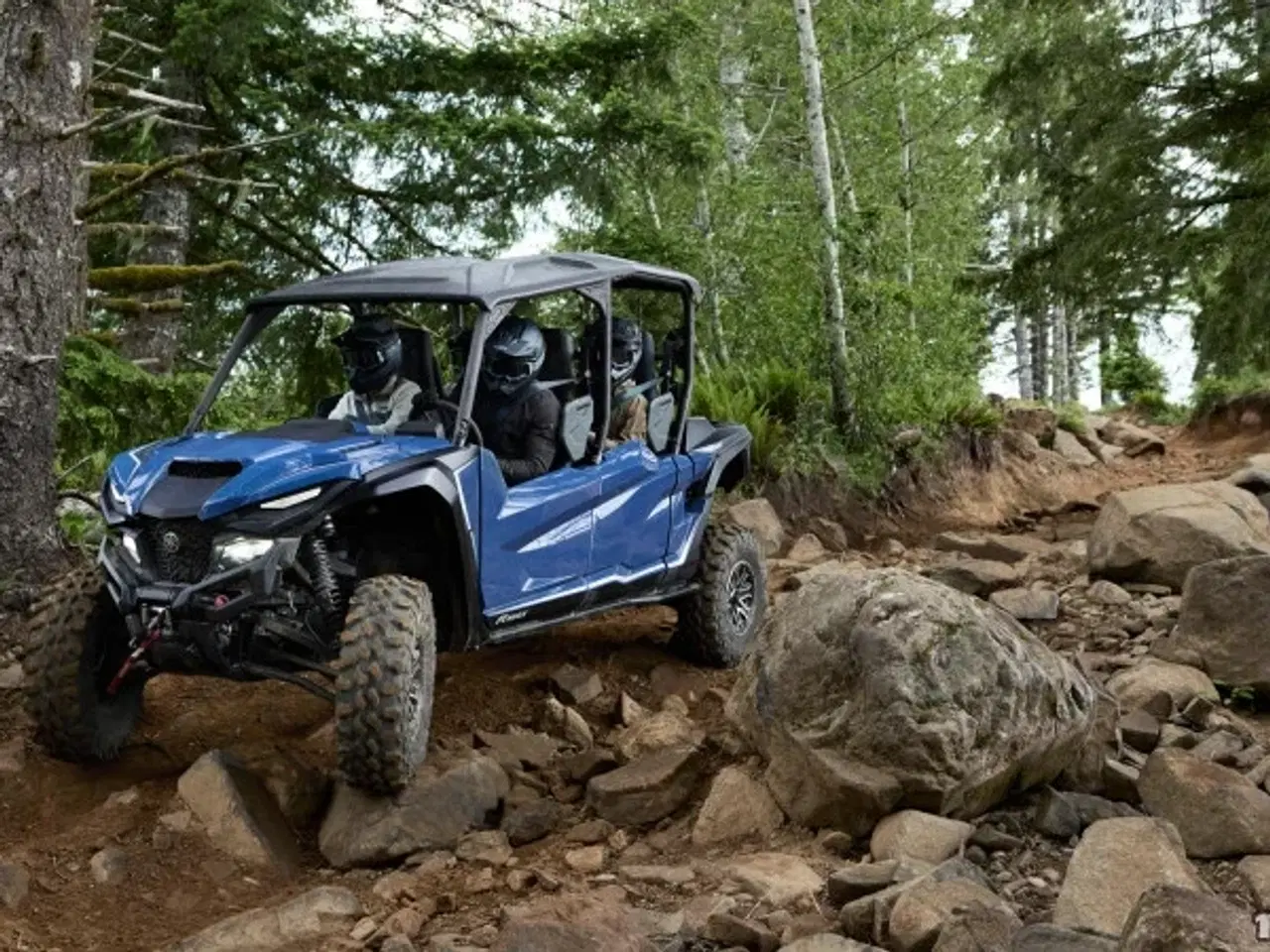 Billede 3 - Yamaha Wolverine RMAX4 1000 LE