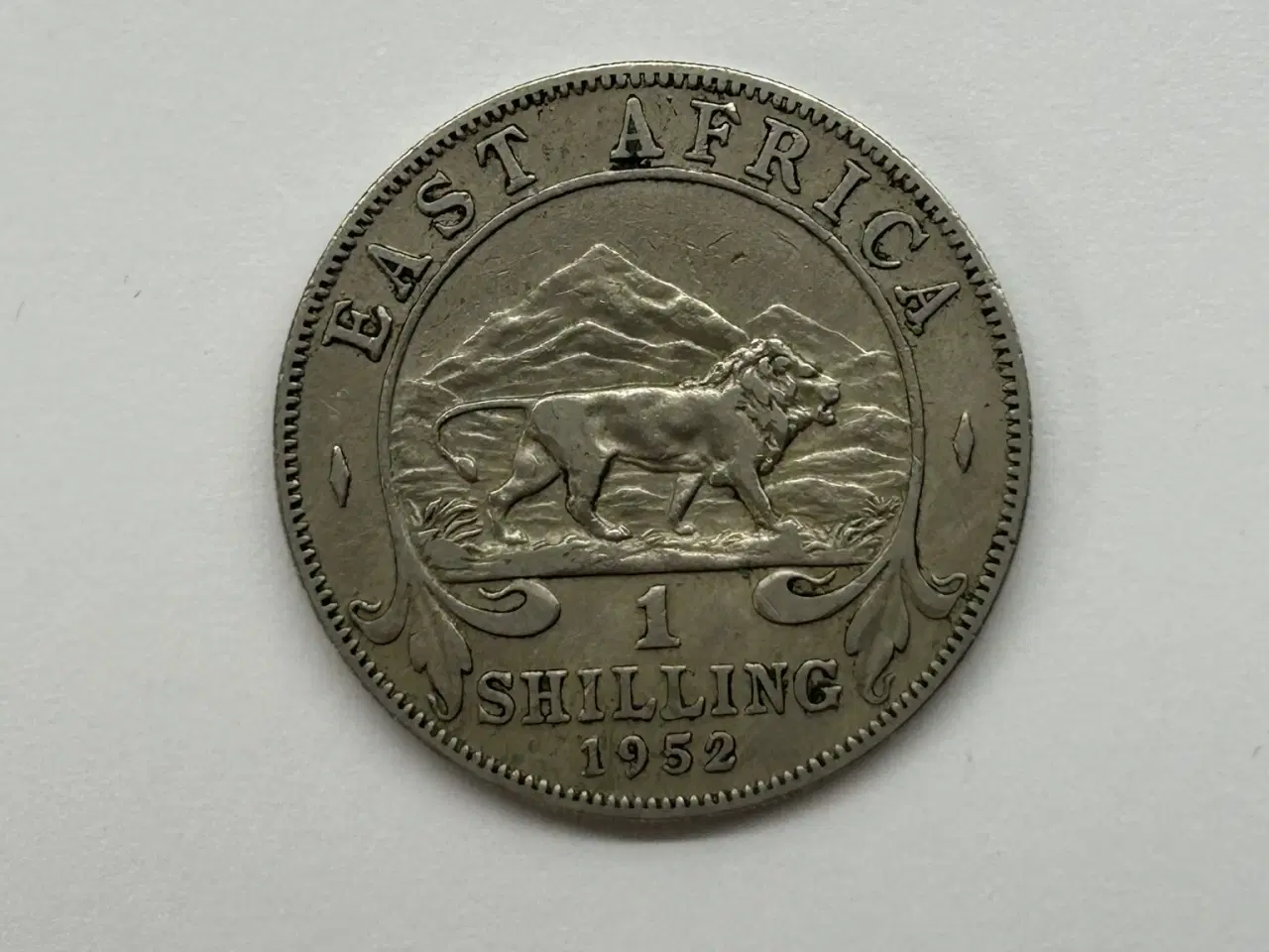 Billede 1 - East Africa 1 Shilling 1952