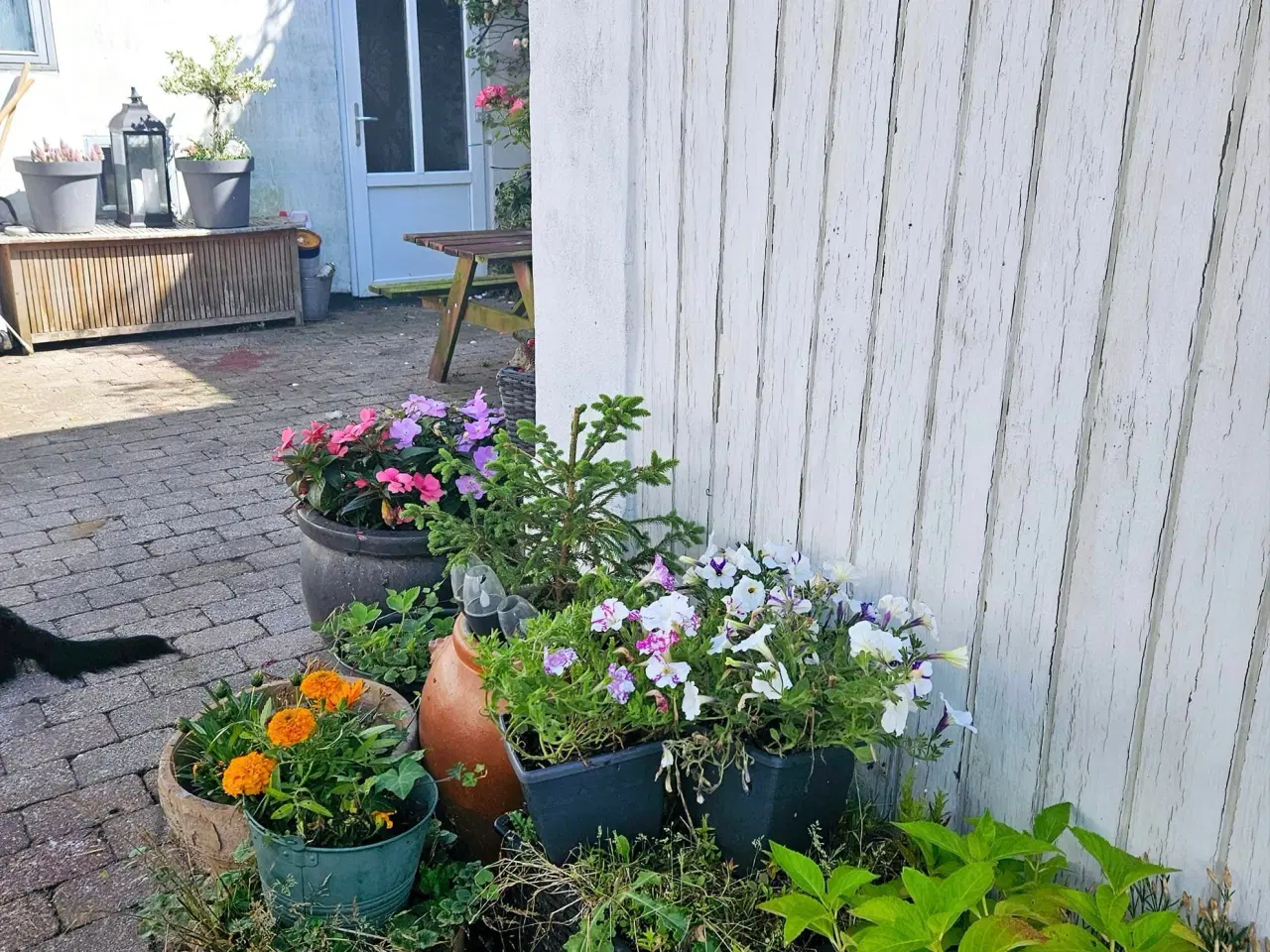 Billede 7 - Sommerhus/helårs bolig ved Bandholm.