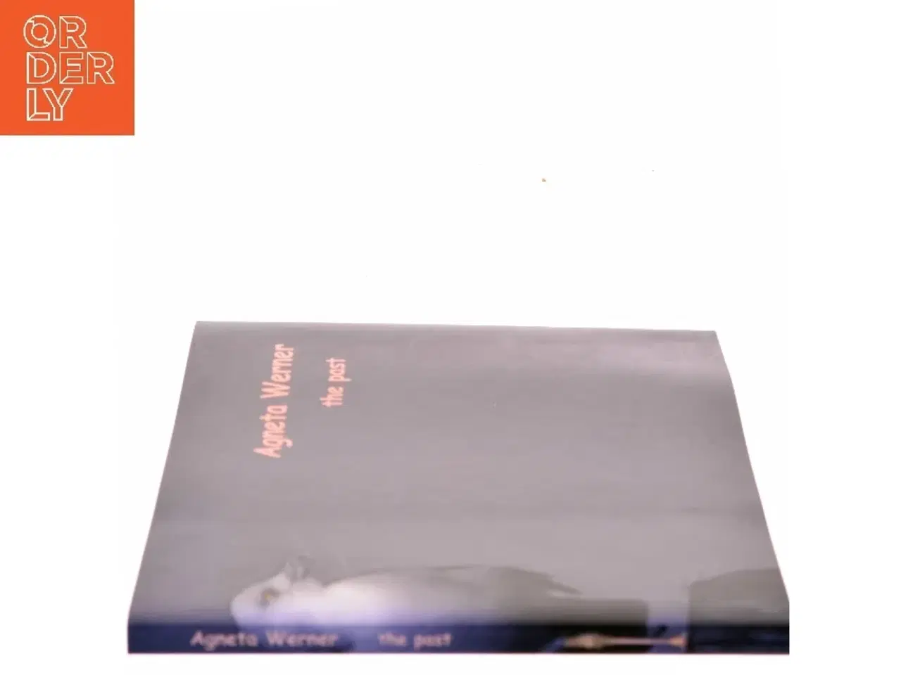 Billede 2 - The Past af Agneta Werner (Bog)