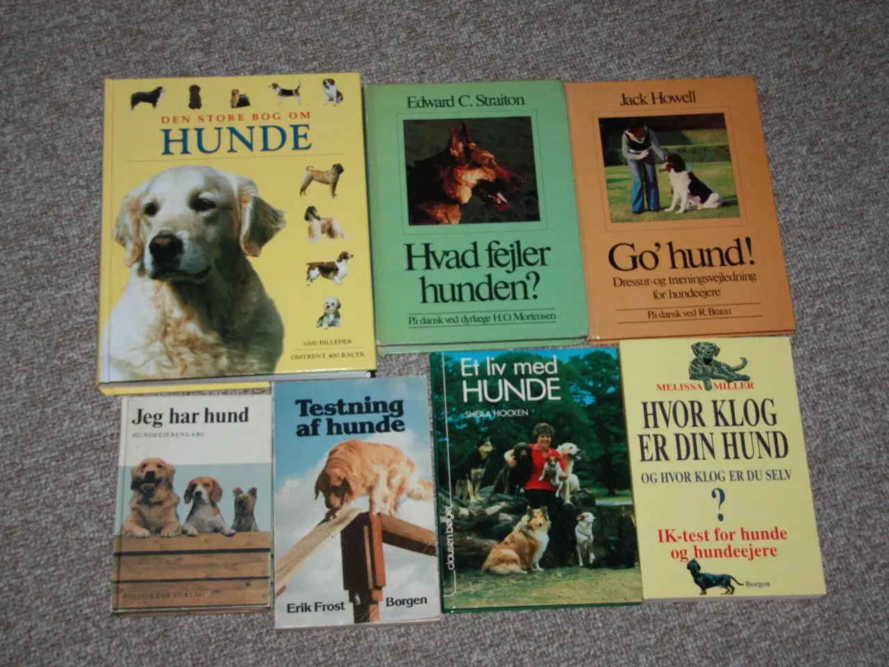 Billede 1 - Hvor klog er din hund og hvor klog er du selv?