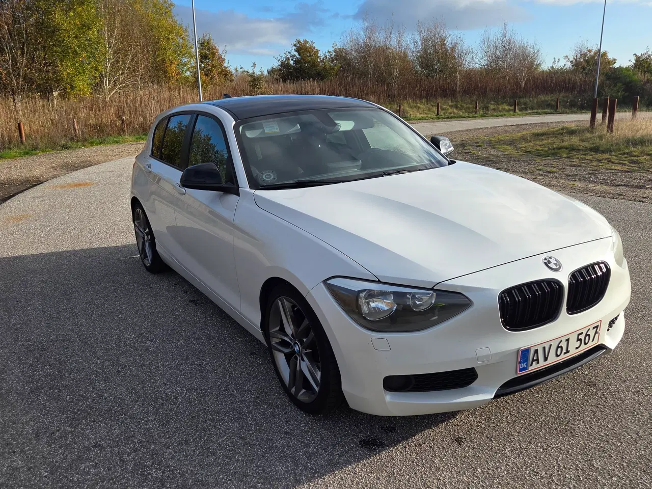 Billede 3 - BMW F20 118i 2012