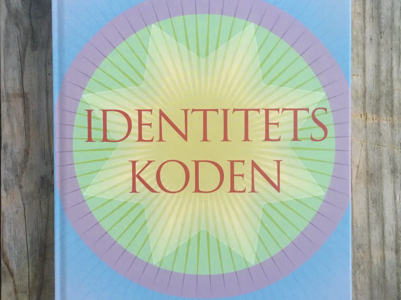 Billede 1 - Identitetskoden, Larry Ackerman