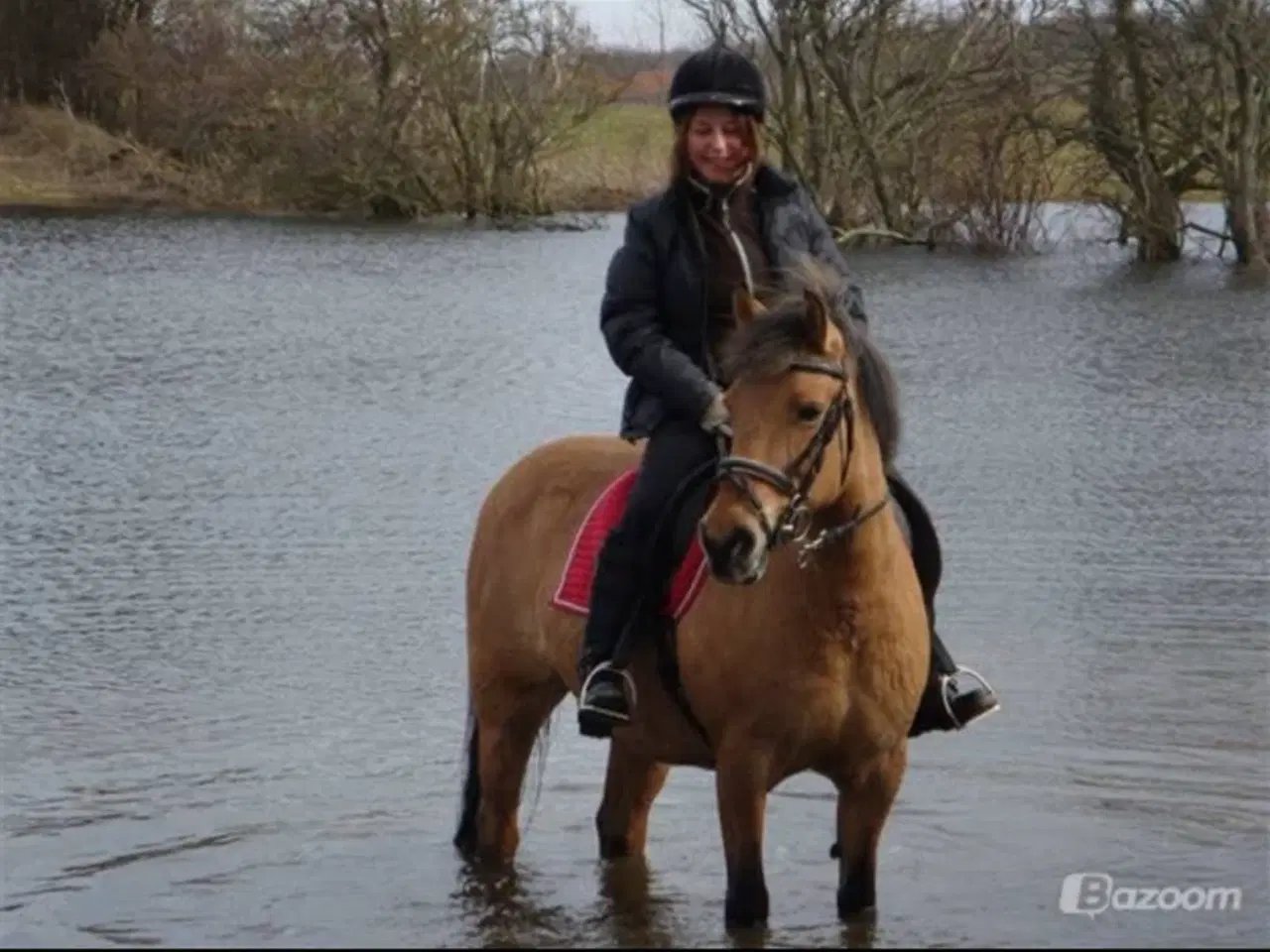 Billede 4 - Skøn 2’er pony søger nyt hjem 
