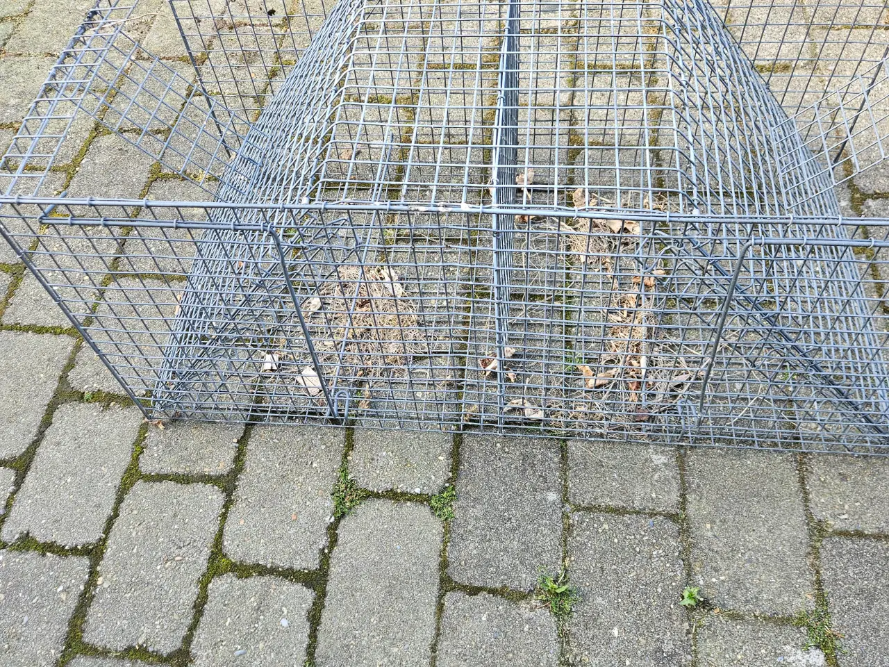 Billede 1 - Krage/skadefælde 