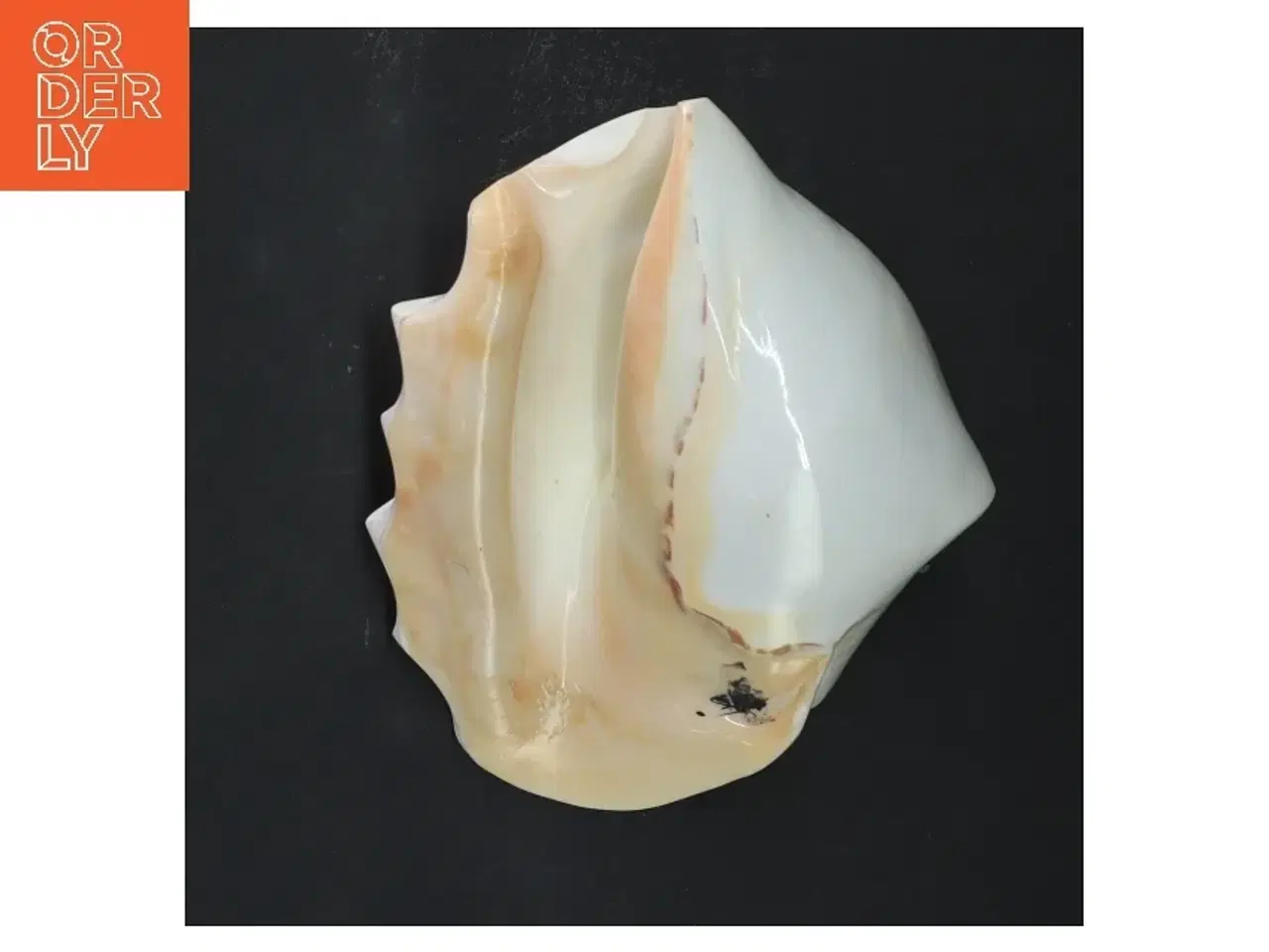 Billede 3 - Dekorativ muslingeskal (str. 14x11x7 cm)