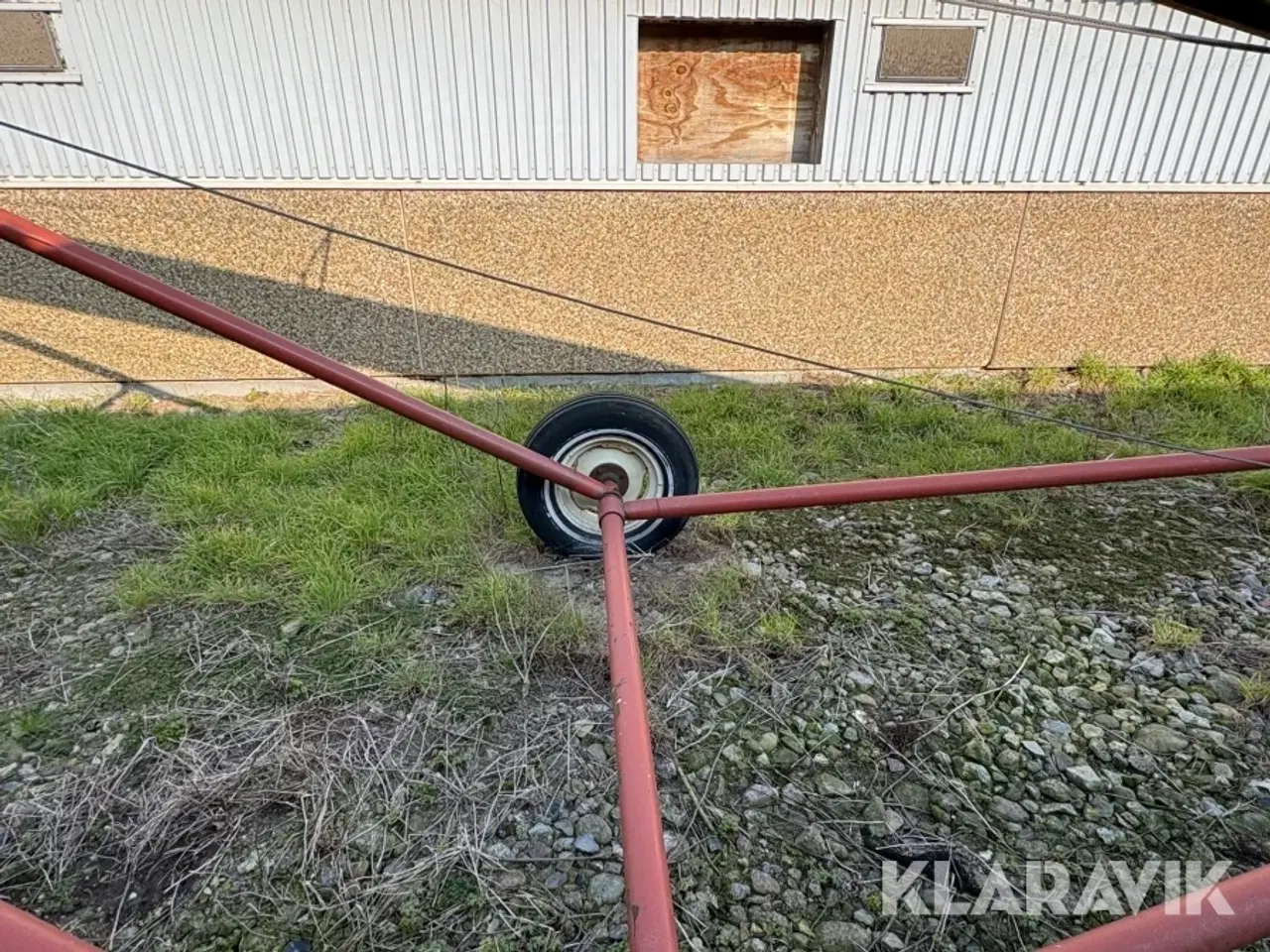 Billede 12 - Kornsnegl Hutchinson