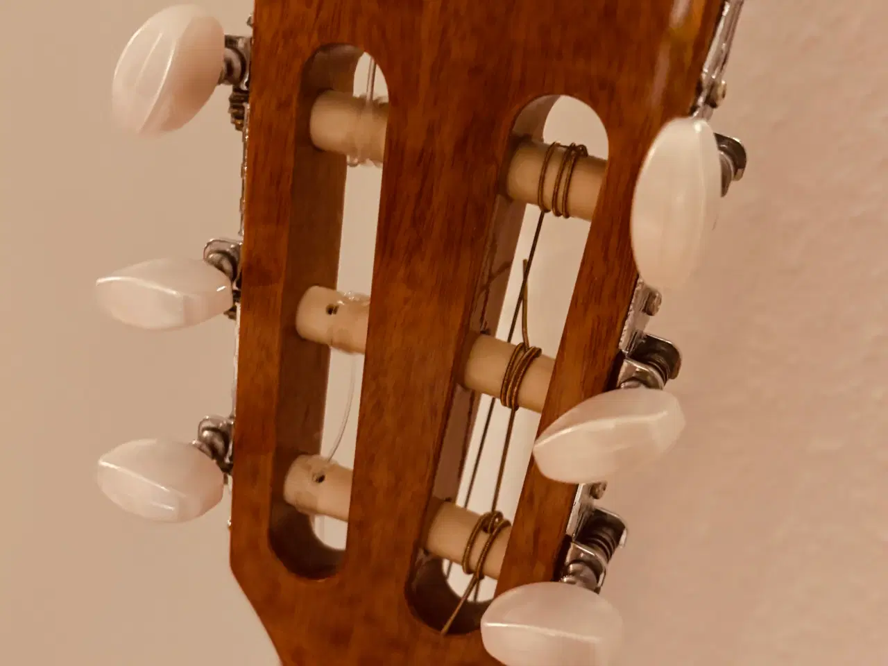 Billede 4 - Classic spansk guitar Takamine G Series 