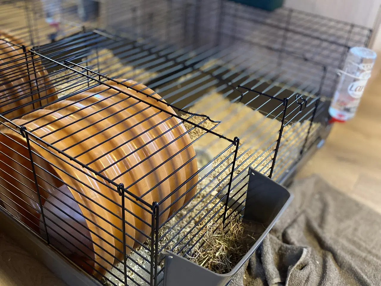 Billede 6 - Nutsi søger nye græsgange